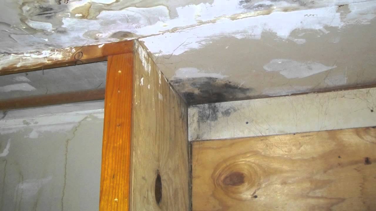 Infrared Thermal Imaging Use in Mold Testing & Mold Inspections