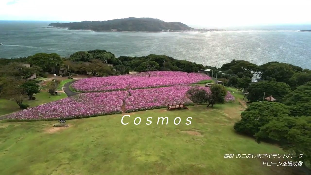 能古島 film