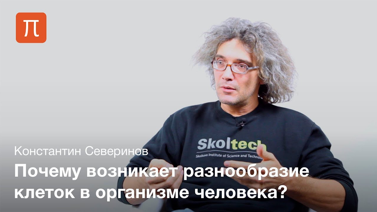 Транскрипция гена - Константин Северинов