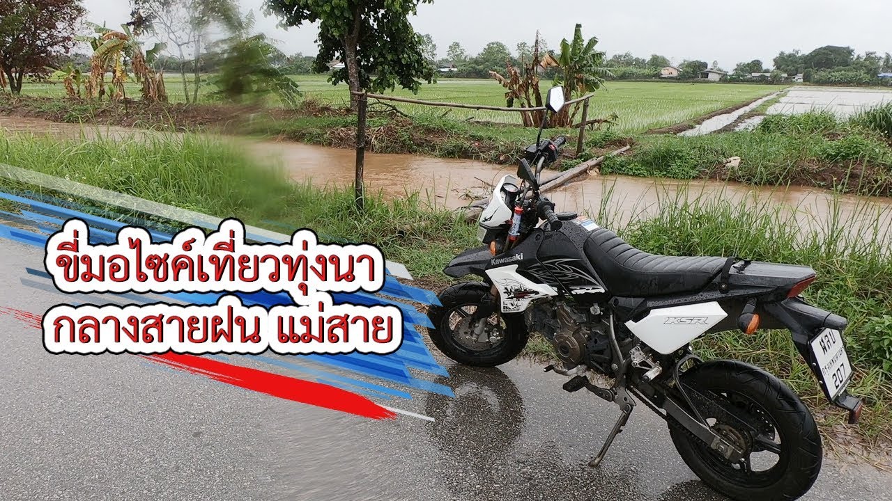 เที่ยวทุ่งนา กลางสายฝน แม่สาย | VchaiBlog