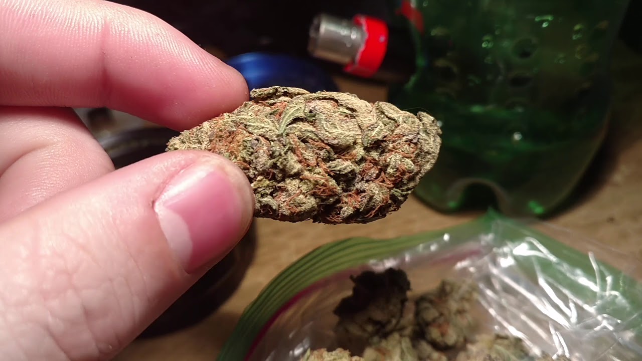 Strain Review. BUBBA KUSH!!!