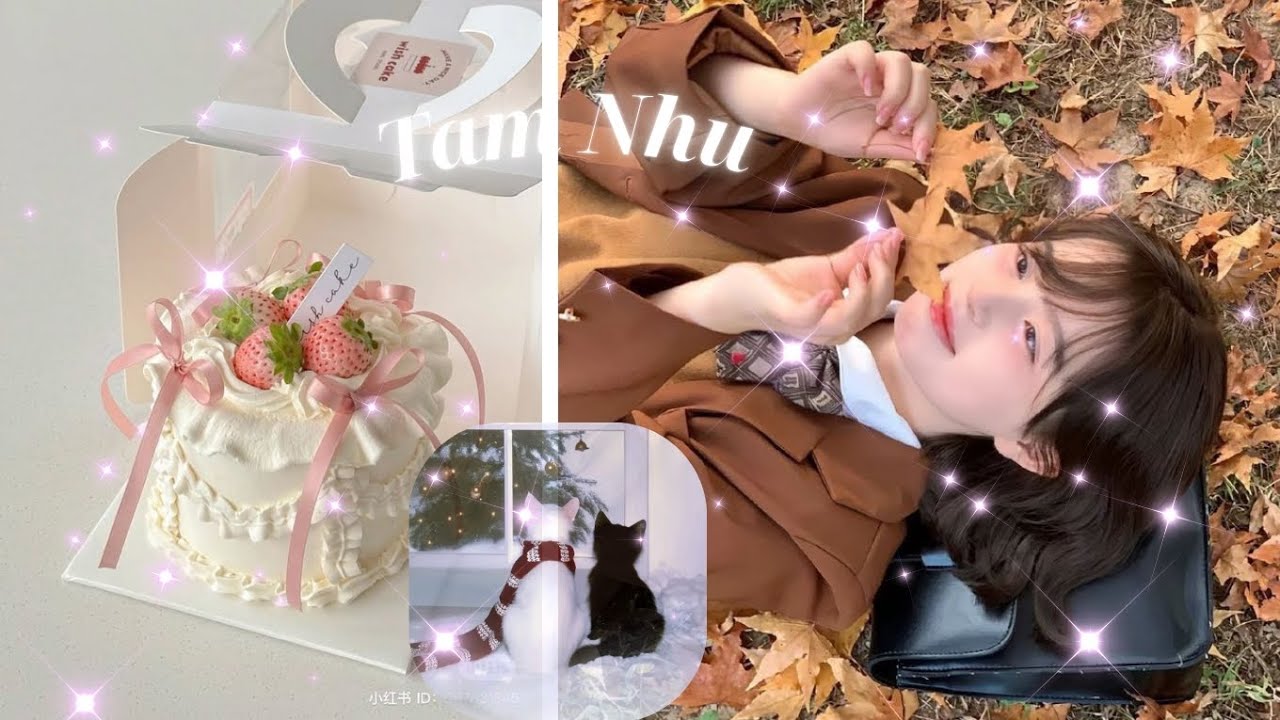 🌠nói rì, làm rì cũm đúm, đi thi khoanh bừa cũm trúng🏅#subliminal @BlueWarthog551 Tâm Như