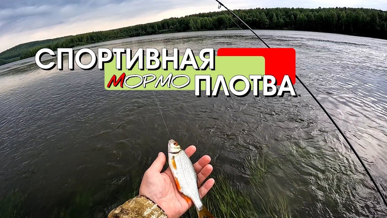Много спортивной плотвы на мормышинг наноджиг ультралайт. Хороший клёв 