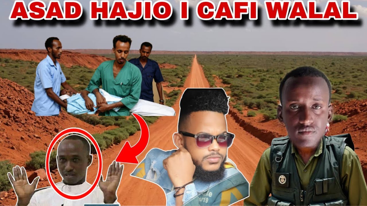 ASAD HAJIO I CAFI NINKI XABADA KU DHUFTAY ASAD OO CAFIS DALBADAY INTA AN TIIRKA LAGEYN KAHOR DAAWO