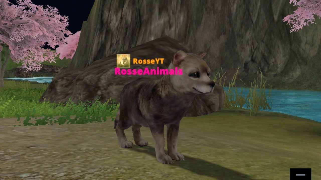 Adventures of baby Rosse | wolf online 2 ~ Rosse Animals