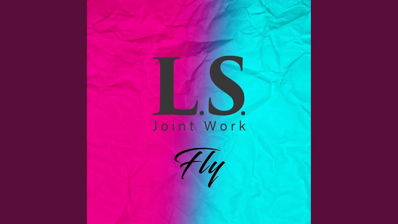Fly