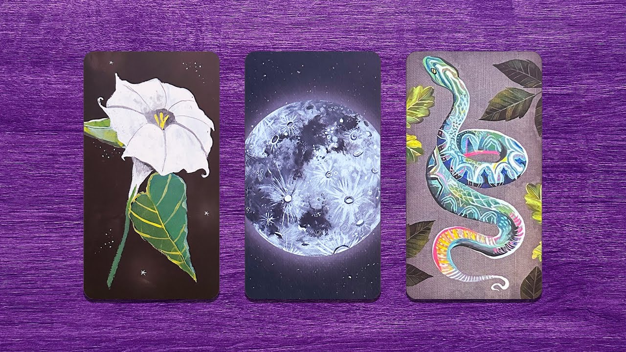 ¿Qué viene en el Amor en Febrero? 🥰 Solteros y persona especial 💘💜 Tarot interactivo 💜