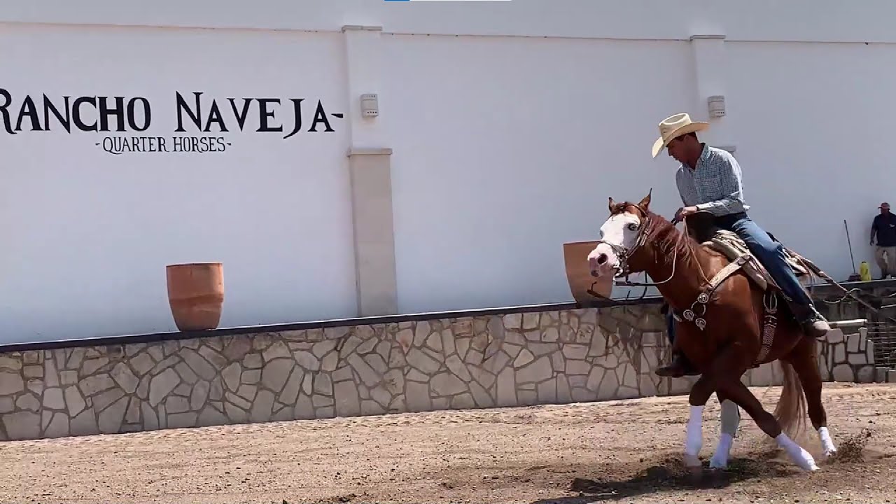 Visita a Rancho Naveja en La Unión de San Antonio, Jalisco