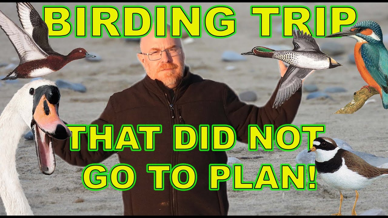 BIRDING TRIP THAT DID NOT GO TO PLAN!
