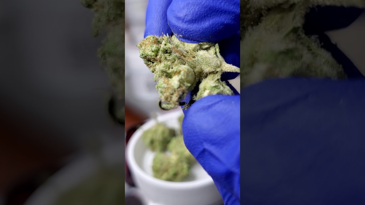 sour og cheese muv dispensary