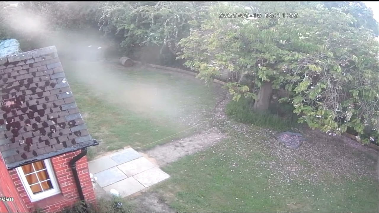 A year in the garden, one still moment each day