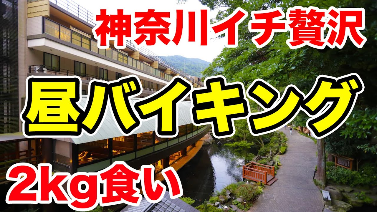 【天国】神奈川イチ贅沢なホテル【昼バイキング】で2kg食い！！