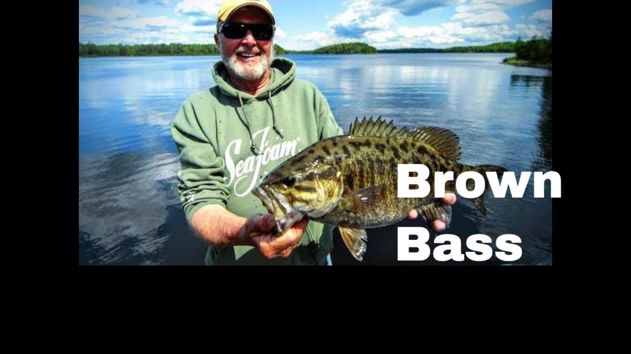 Why Smallmouth Bass Fishing Has Never Been This Good