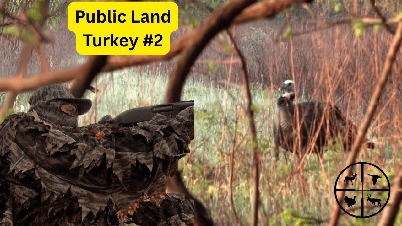 Public Land ....(Scouting Paid Off)