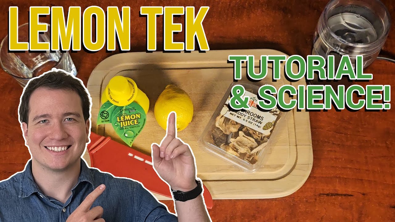Jak stosować Lemon Tek do grzyb&oacute;w i nauka cytrynowego Tek do psylocybiny