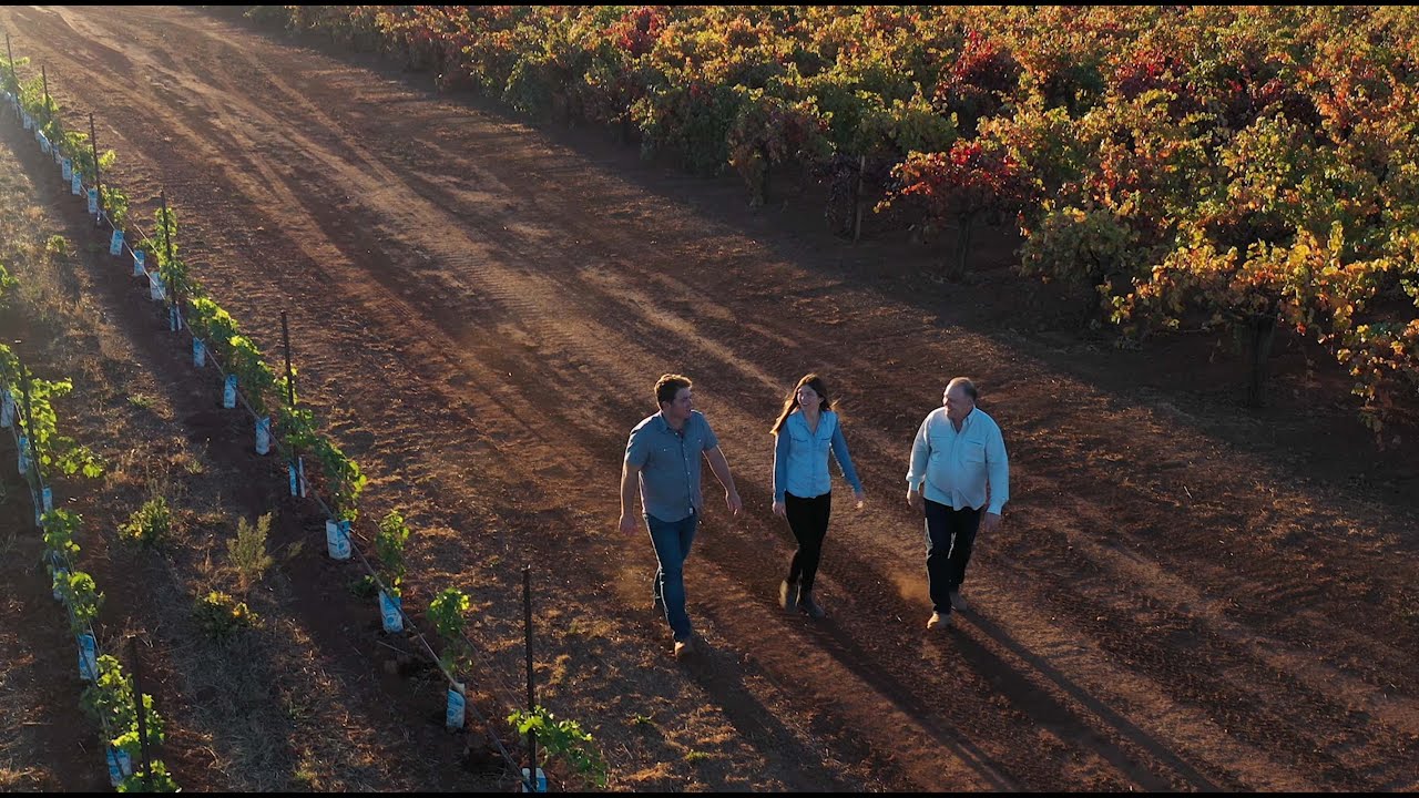 Winery Spotlight: Caymus & The Wagner Family's Story
