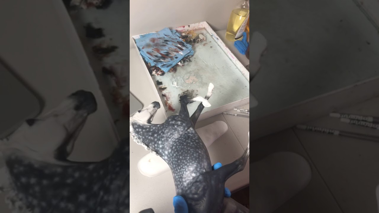 Painting Dapple Grey in Oils: Step 5