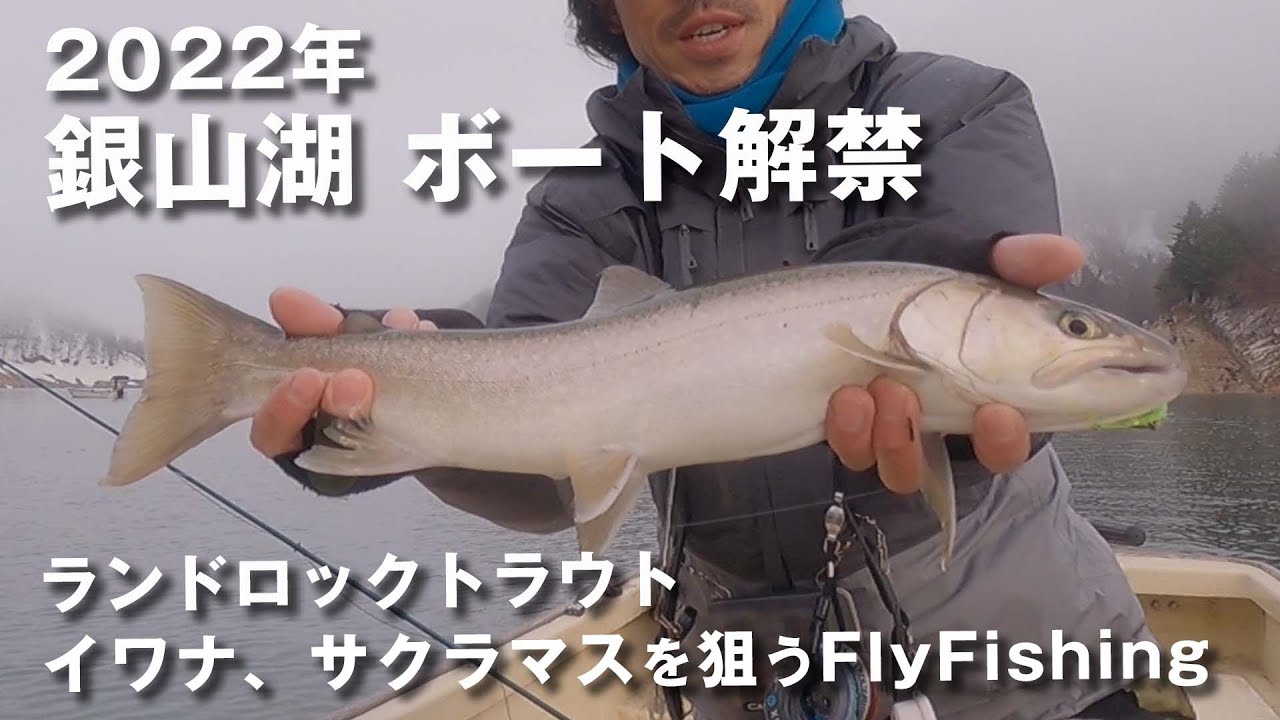 2022年【銀山湖ボート解禁！】大型ストリーマーでランドロックのイワナ、サクラマスを狙うフライフィッシング、レイクパターン【新潟FlyFishing】