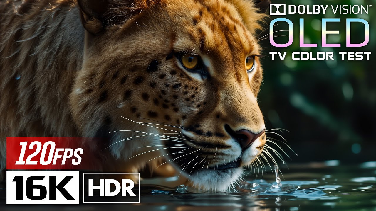Picture Perfection — Stunning Dolby Vision HDR in 8K Ultra HD 120fps