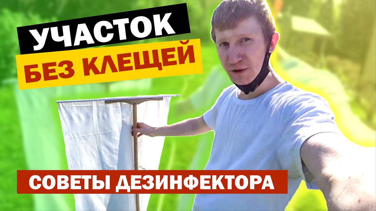 КАК ОБРАБОТАТЬ УЧАСТОК ОТ КЛЕЩЕЙ