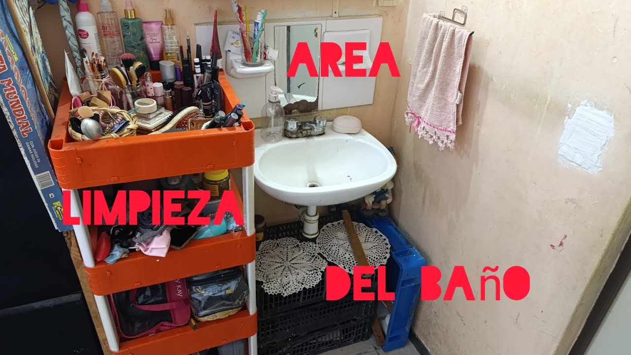 Limpieza/ reacomodo 🚽🧻🧹