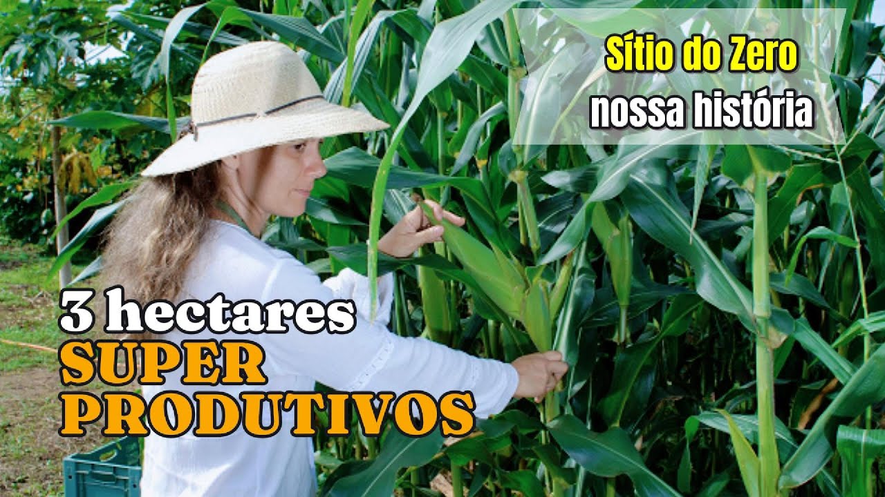 Produzimos MUITA Comida em 3 Hectares