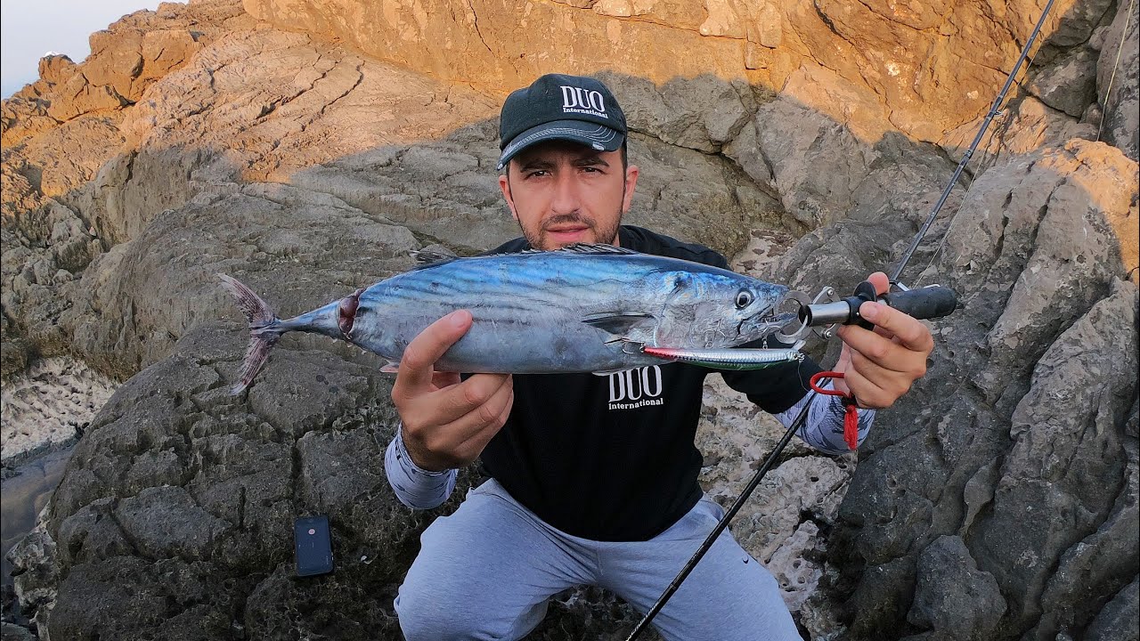 Atlantic Bonito (Sarda) Live strike on Duo Tide Minnow Slim 140 Red Tails Limited