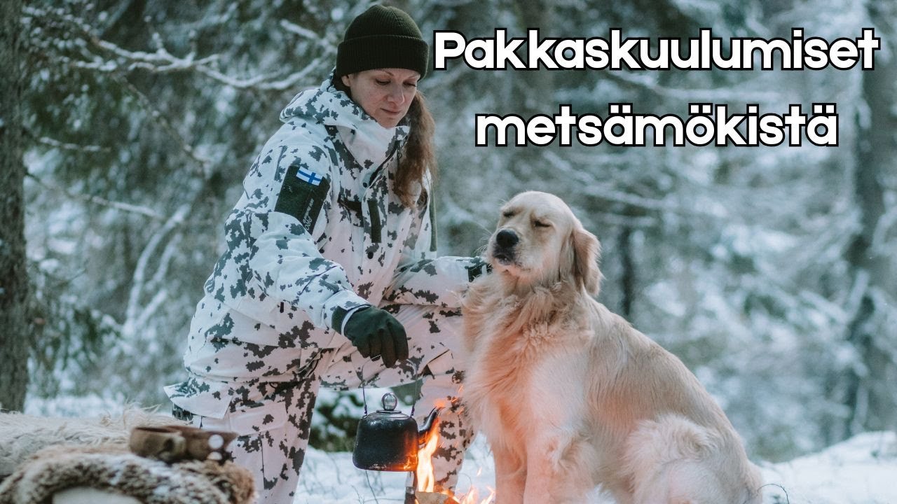 Pakkaskuulumiset metsämökistä