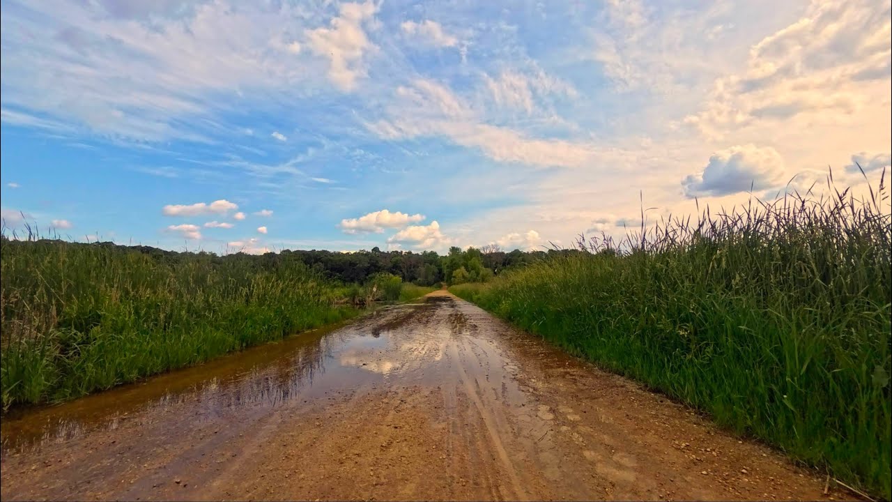 Evening Ride