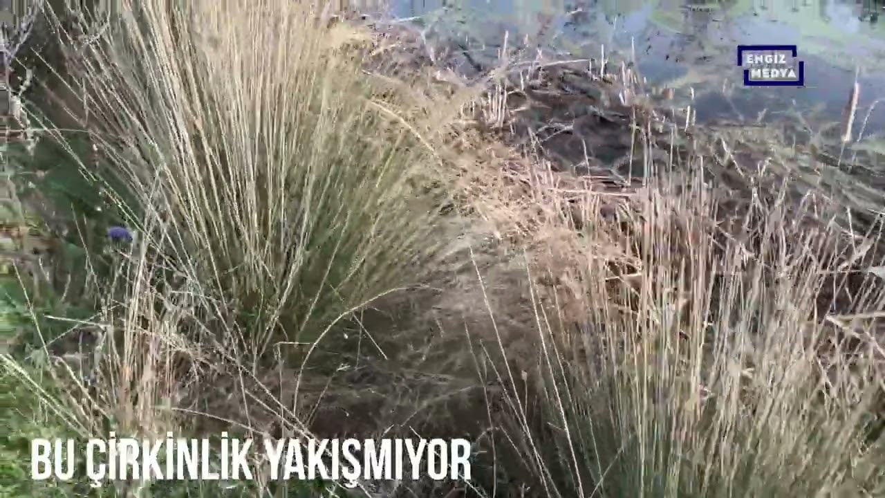 ENGİZ SAHİL