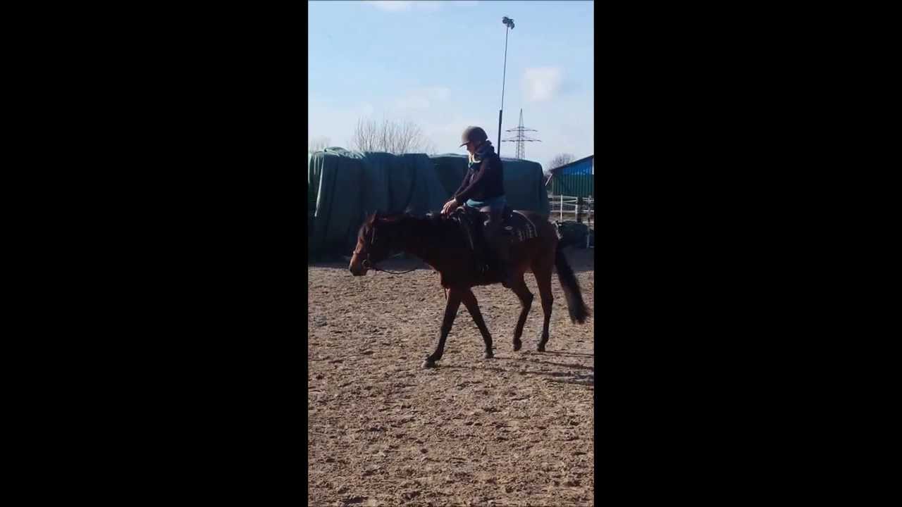 Flachsmeer Ranch Baybee