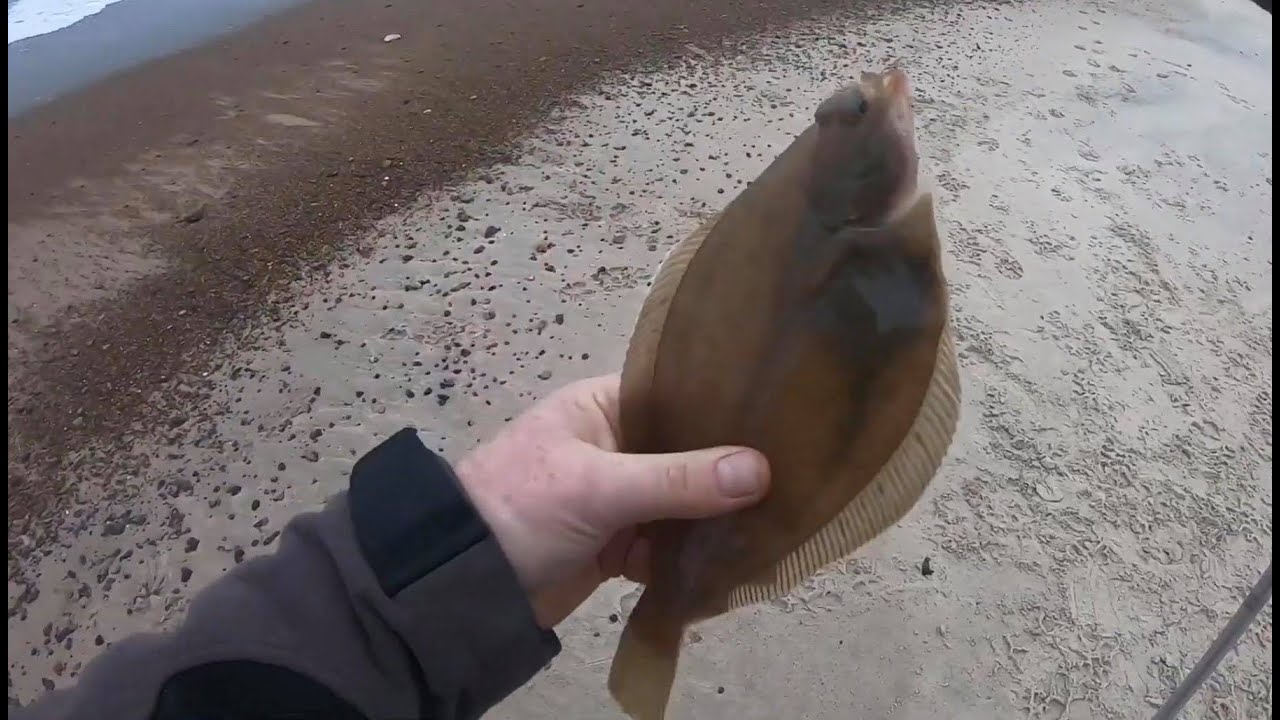 Fishing for dabs and flounder from the shore with spinning tackle