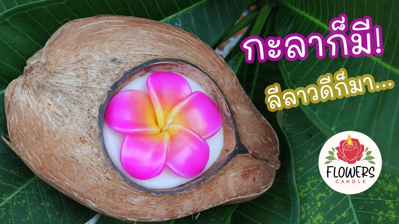 สอนทำเทียนหอมดอกลีลาวดีในกะลามะพร้าว วิธีวางดอกไม้ให้จุดได้นาน Frangipani Candle In Coconut Shell
