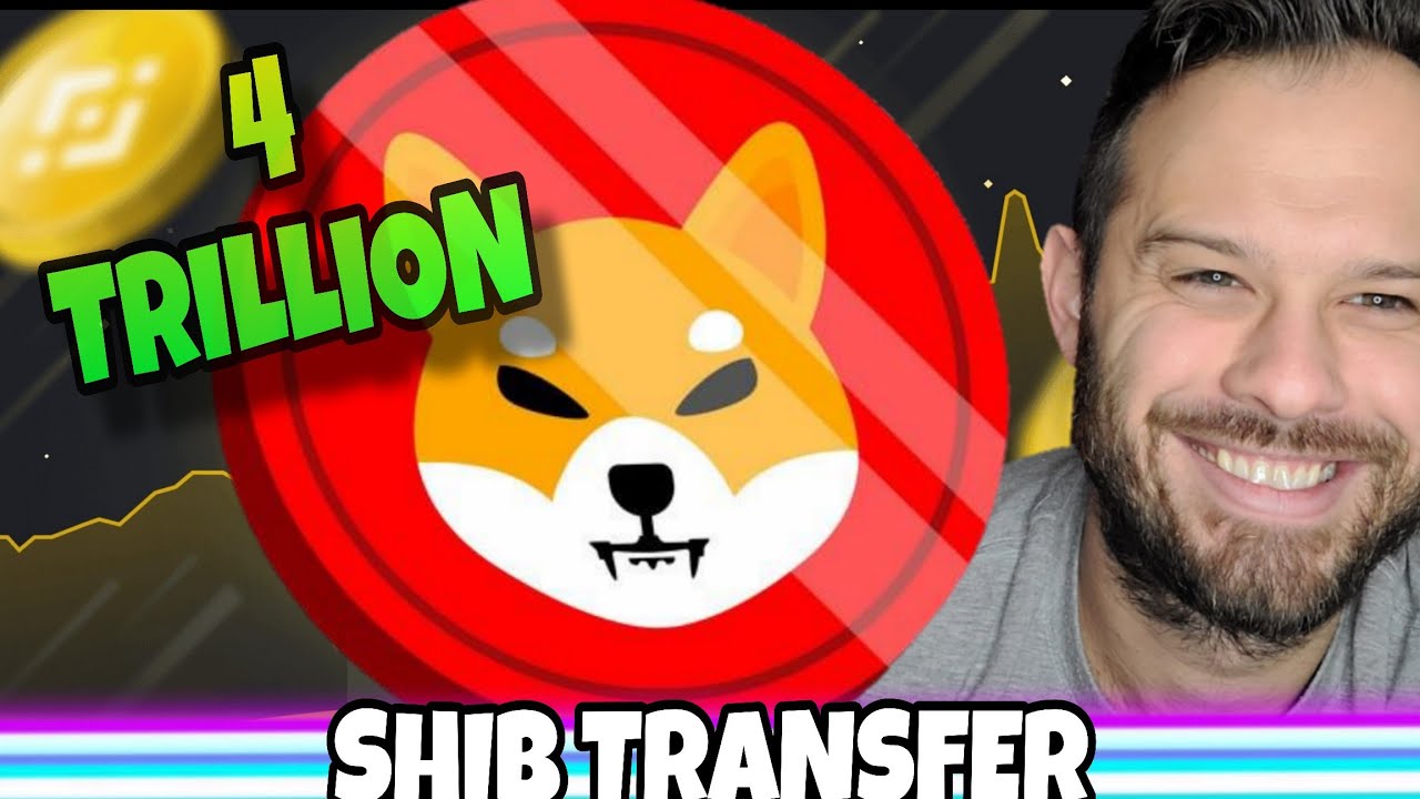 4 Trillion Shiba Inu Coin On The Move! What This Means For SHIB