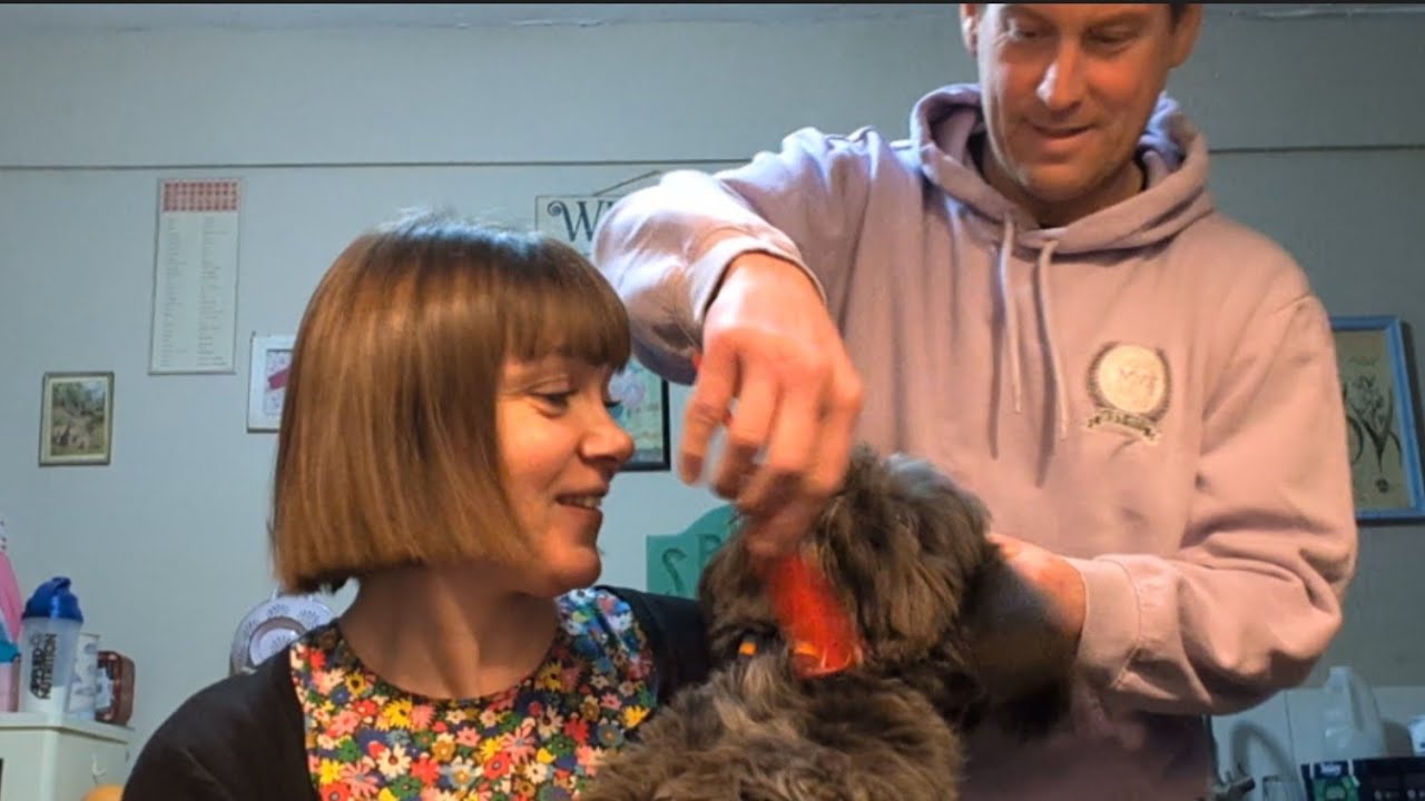 February vlogs Day 28ish - Guinea pigs, a new haircut and goodbye for now