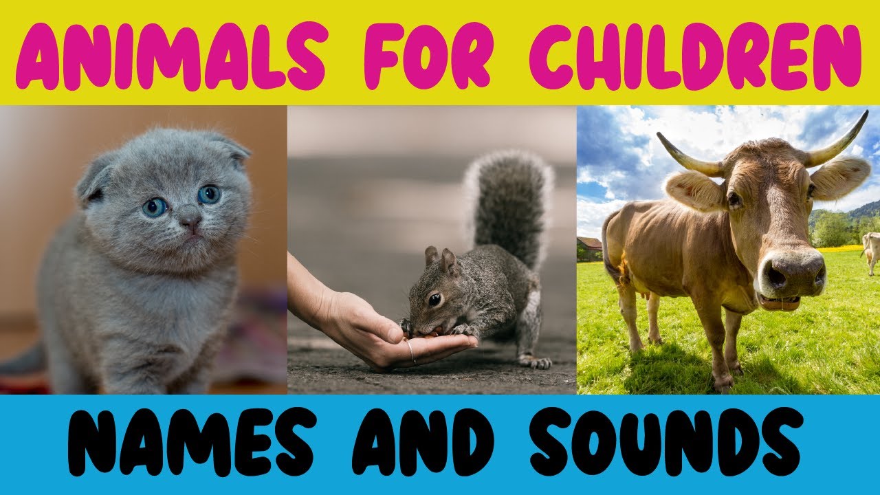 Learn the Names and Sounds of 20 Fun Animals! - Animal Sounds for Children