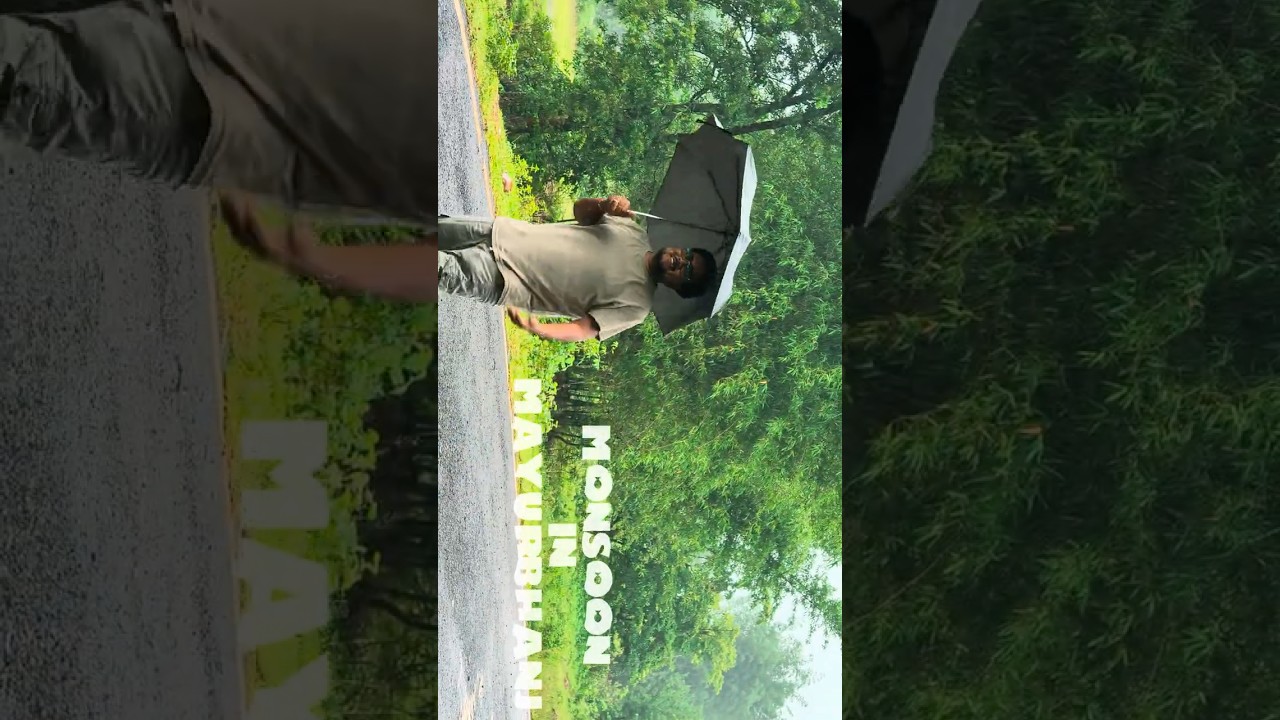 Monsoon in Mayurbhanj 🌧️🍃 | Odisha&rsquo;s Green Paradise | Cinematic Shorts