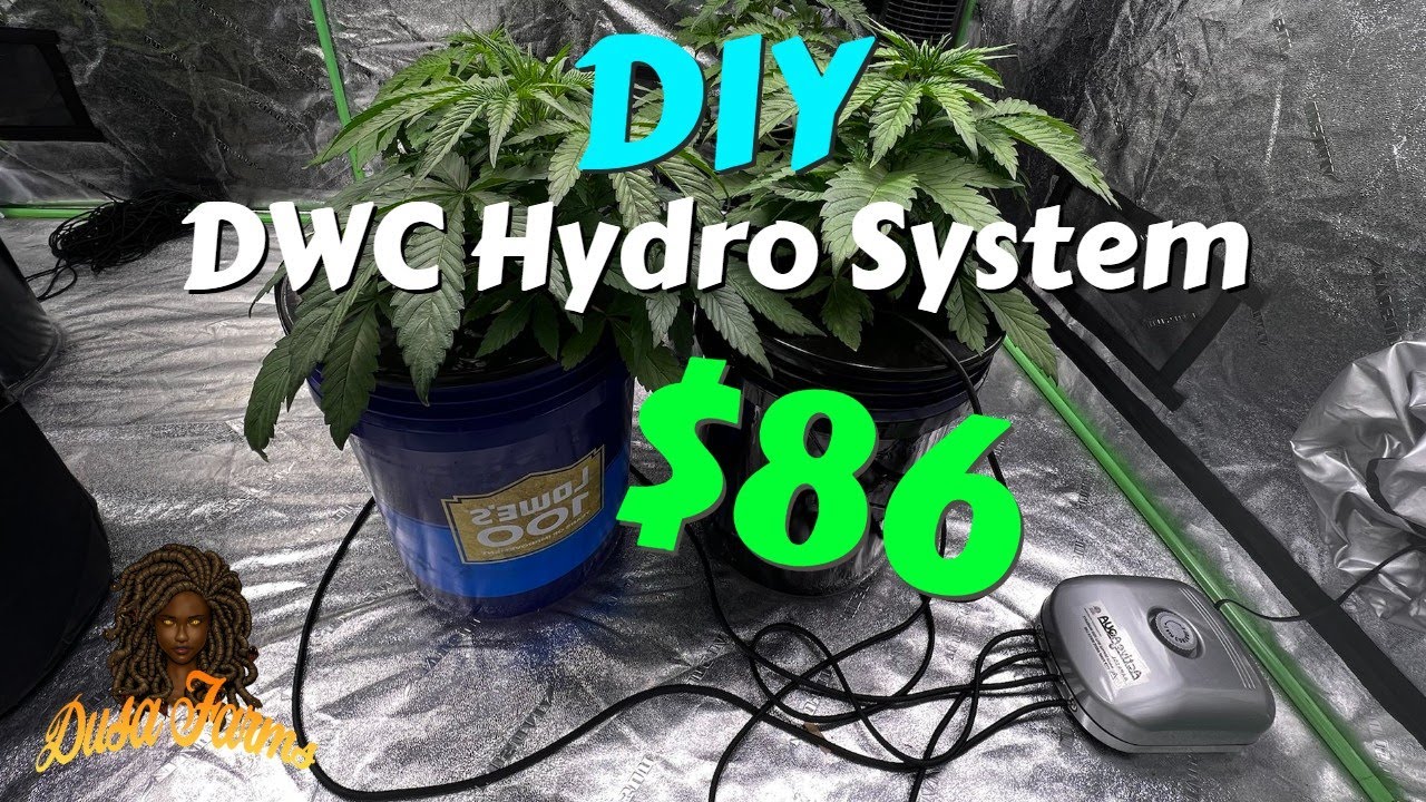DIY DWC System For Plants (under $100)