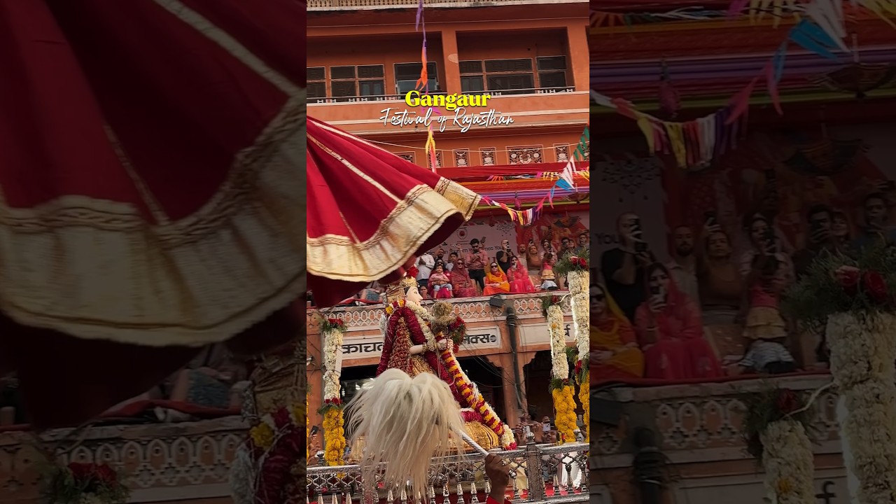 gangaur of rajasthan #rajasthan #jaipur #gangaur #savari #shiv #parvati #2025 #festival #bundi #love