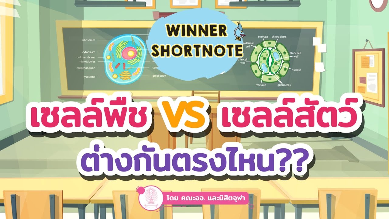 [ชีวะ] เซลล์ : เซลล์พืช VS เซลล์สัตว์ต่างกันยังไง?