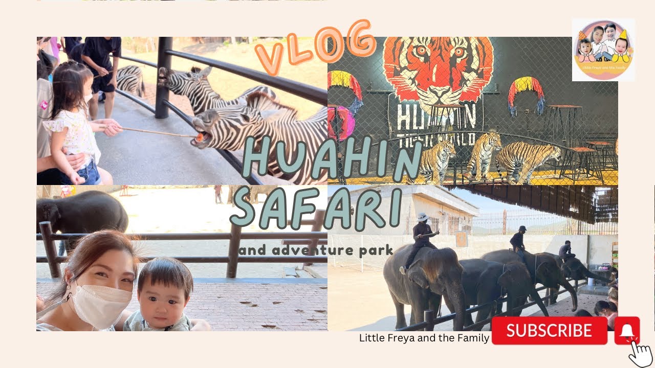 พาลูกเที่ยว EP.11 | สวนสัตว์ Huahin Safari &Adventure Park ดูแสดงโชว์ มีกิจกรรมเพียบ
