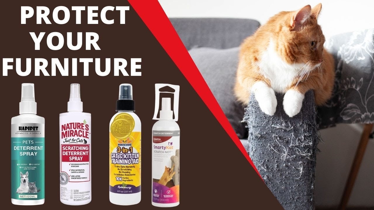 Best Cat Scratching Spray - Protect Your Furniture From Scratches