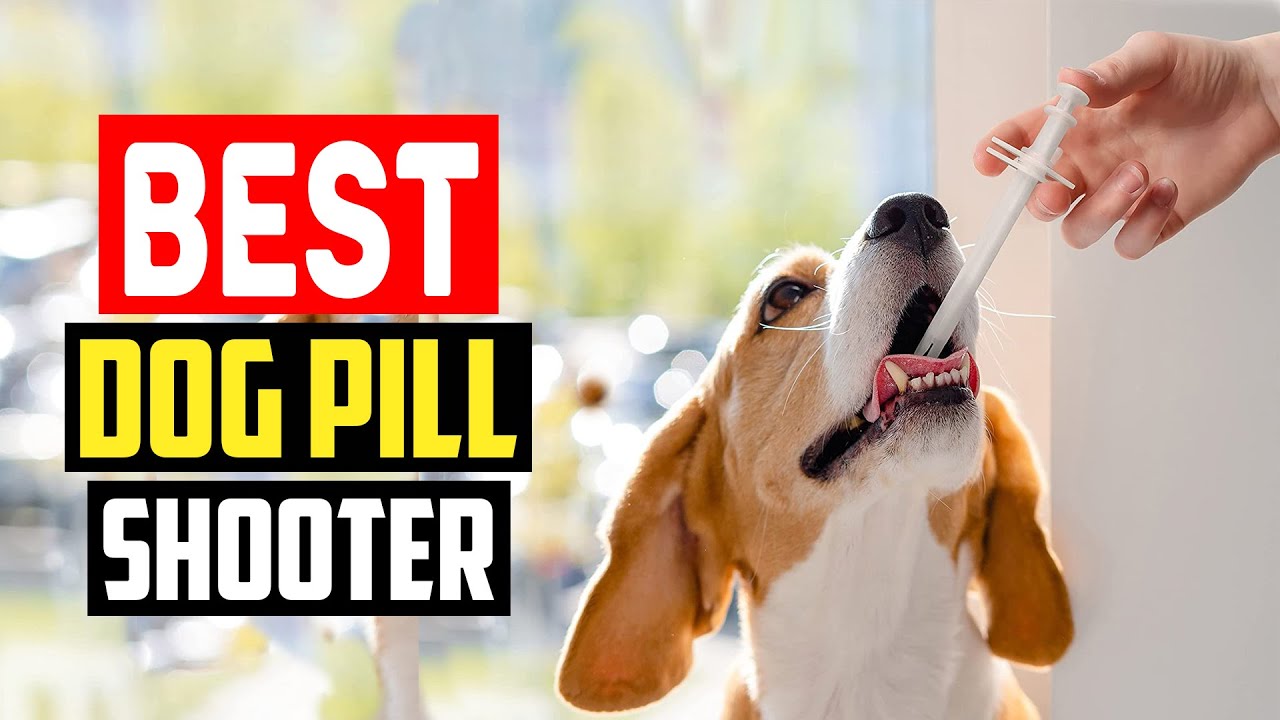✅Top 5 Best Dog Pill Shooter in 2025
