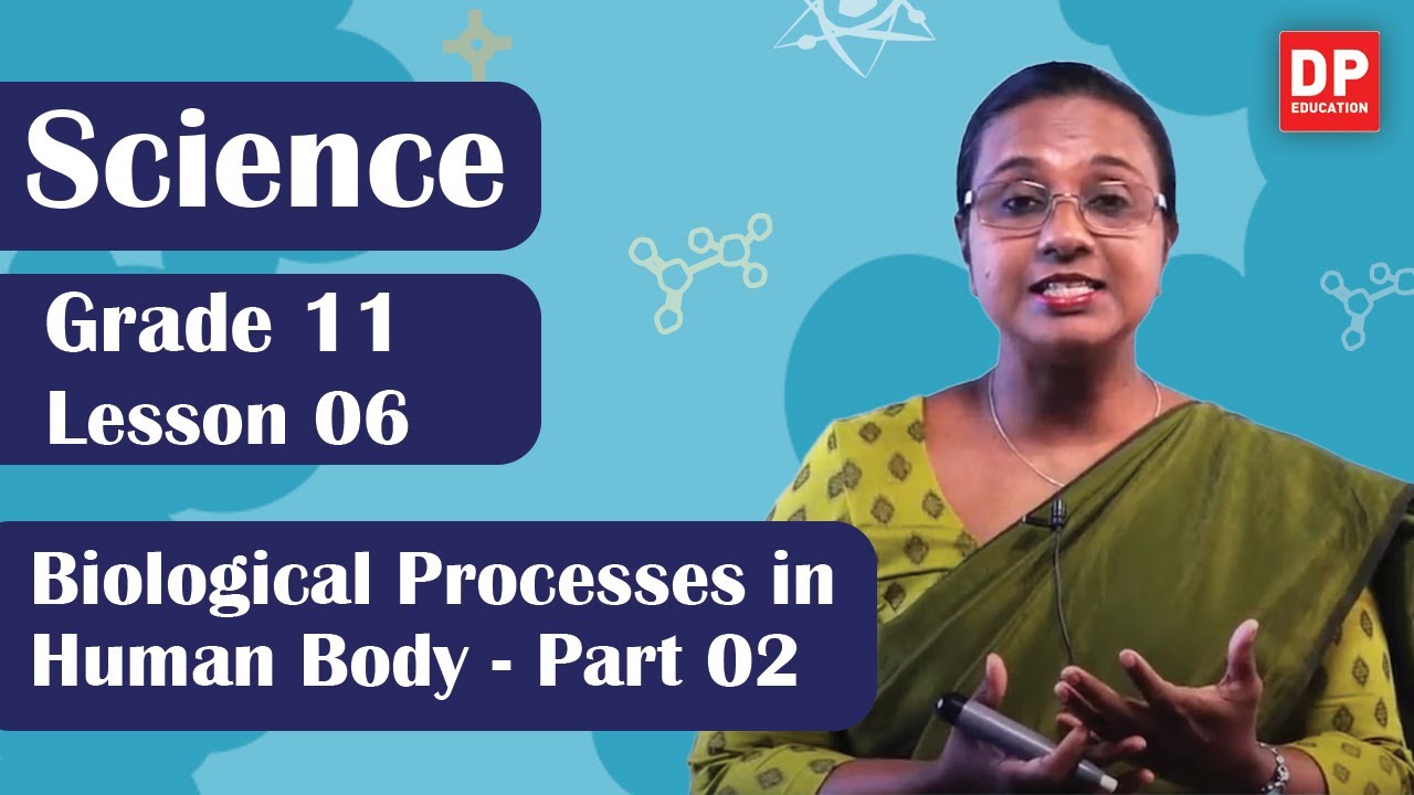 Lesson 06  - Biological Processes in Human Body (Part 02) | Grade 11 Science in English