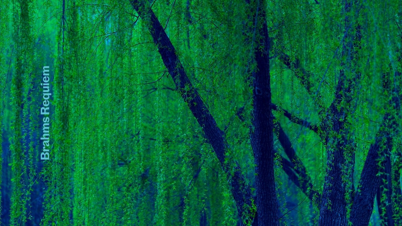 (LIVE) Brahms Requiem Trinity Church NYC | March 11 2026