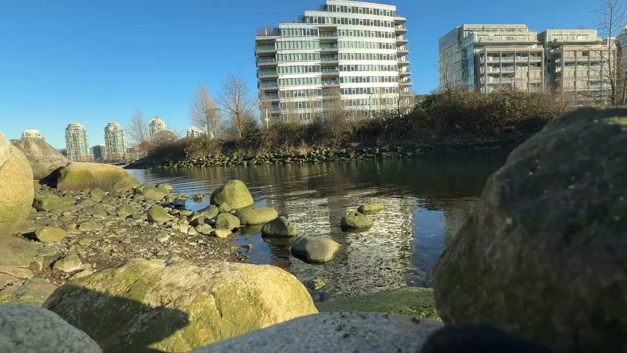 Calm Sunday at Habitat (Beer) Island | Vancouver, Canada