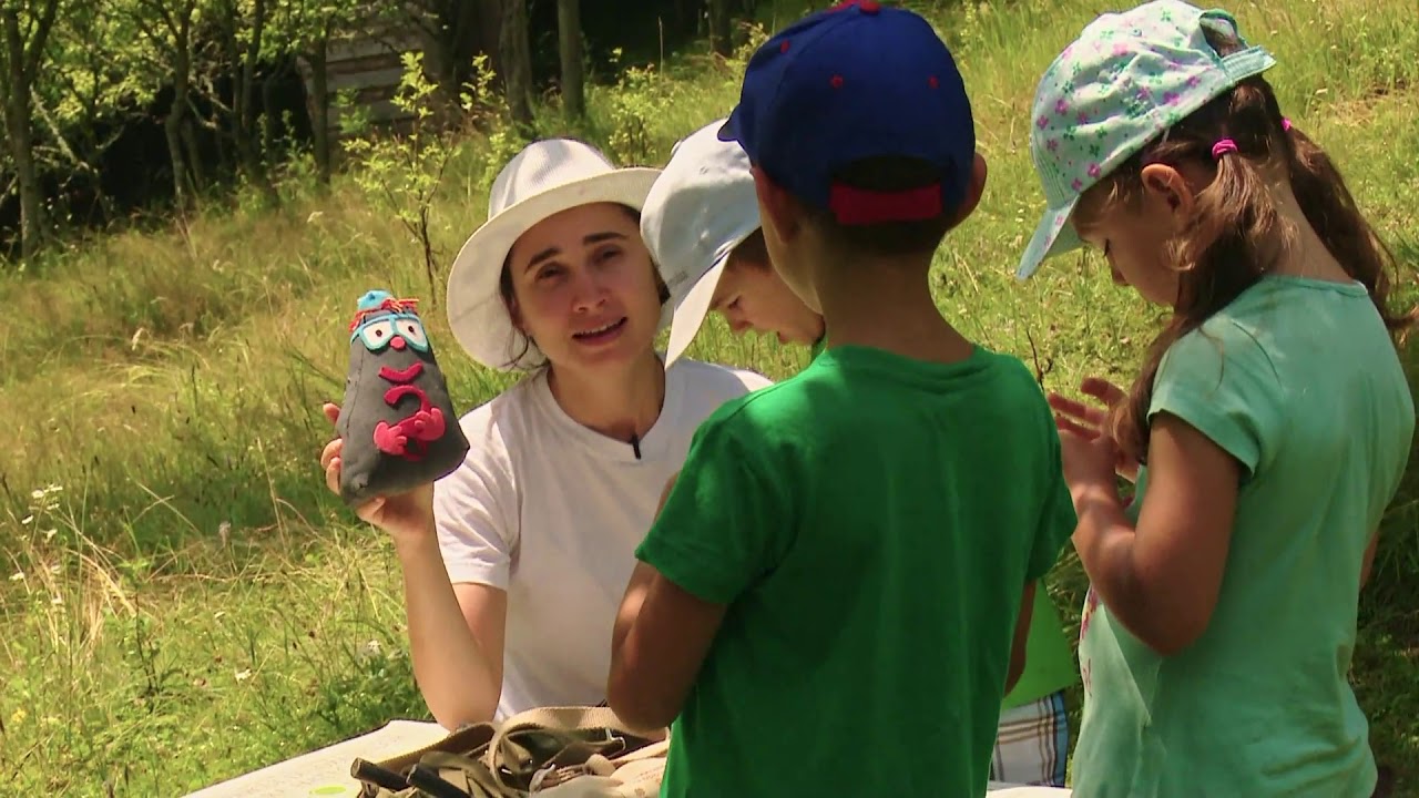 Exclusiv în România: În lumea vulcanilor preistorici din Ţara Haţegului (@TVR1)