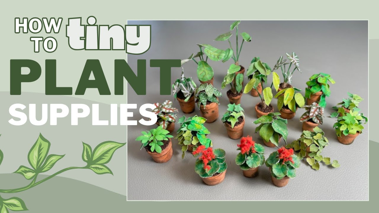 My DIY Plant Supplies For Making Miniature Plants