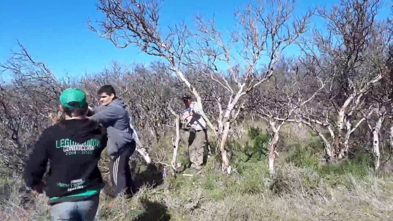 La Olla 8 y 9 de Septiembre de 2018