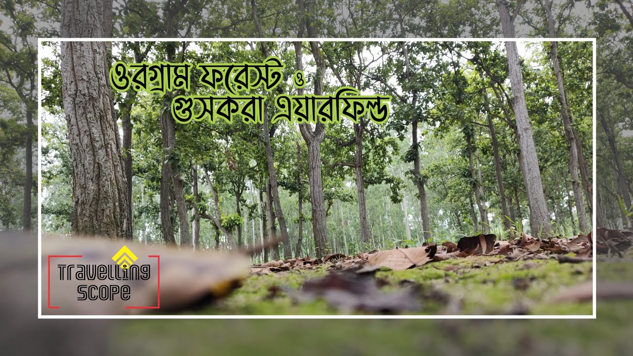 Orgram Forest | Guskara Airfield | Purba Bardhaman | West Bengal